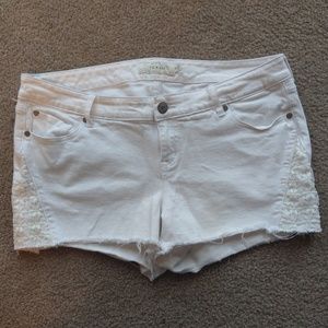 Torrid Shorts
